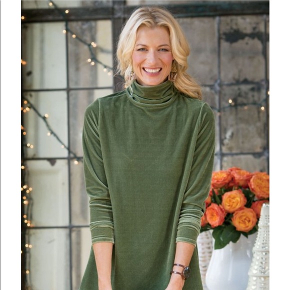 Soft Surroundings Tops - [ Soft Surroundings ] Stretch Velvet Turtleneck I